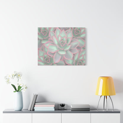 Echeveria Violet Queen Succulent Pattern Canvas Print – Botanical Wall Art