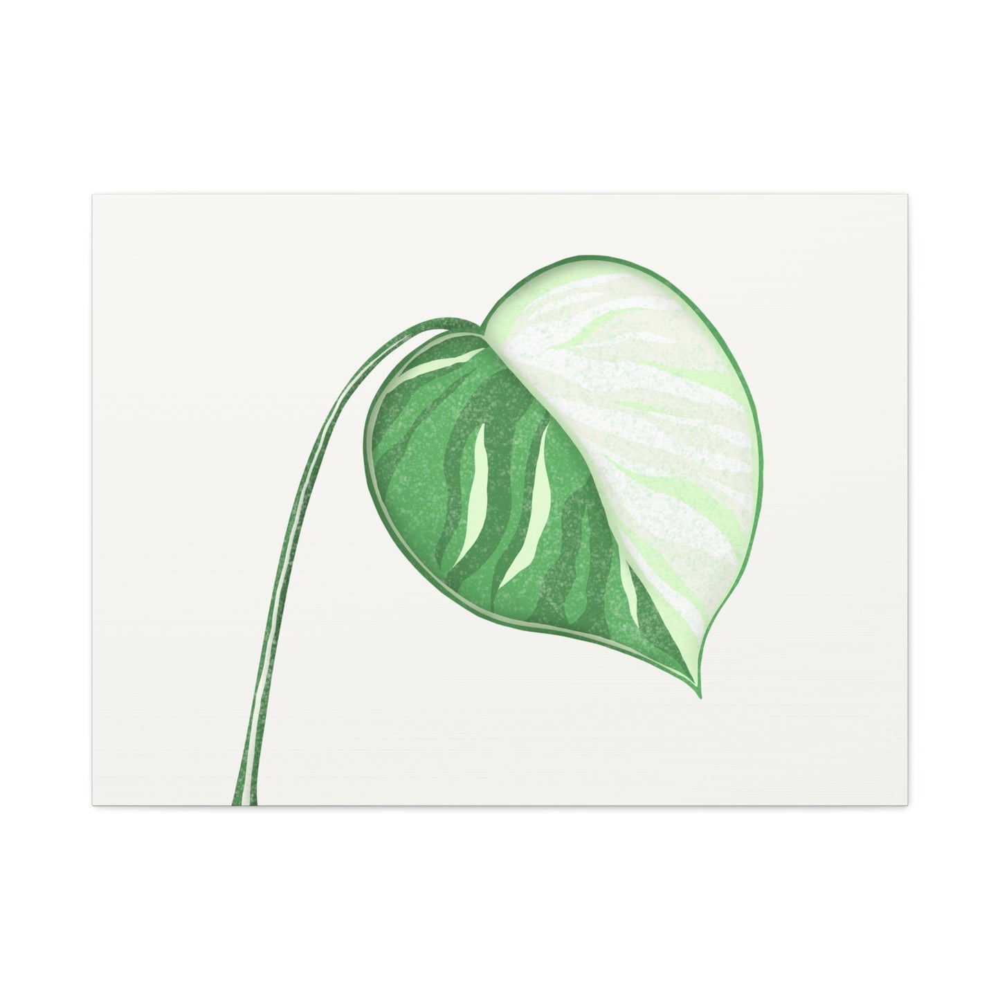 Monstera Albo Canvas Print – Botanical Wall Art