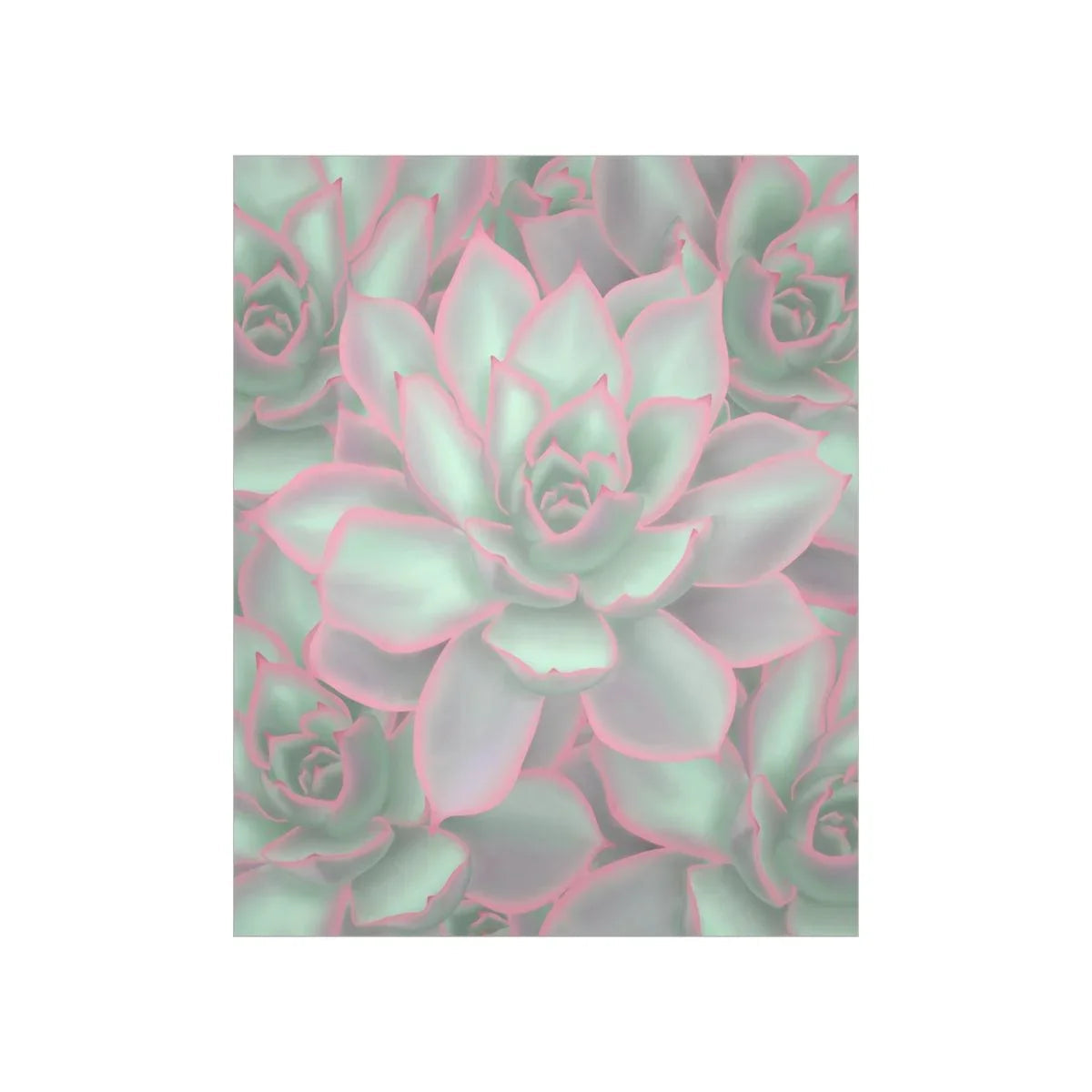 Echeveria Violet Queen Succulent Pattern Botanical Print – Unframed Wall Art