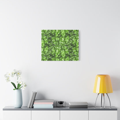 Aglaonema Pictum Canvas Print – Botanical Wall Art