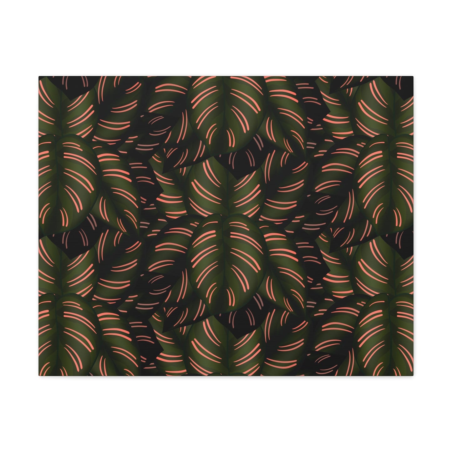 Calathea Pinstripe Pattern Canvas Print – Botanical Wall Art