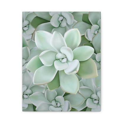 Pachyveria Haagei Succulent Pattern Canvas Print – Botanical Wall Art