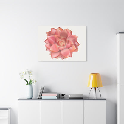 Graptosedum California Sunset Succulent Canvas Print – Botanical Wall Art