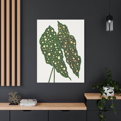 Begonia Maculata Canvas Print – Botanical Wall Art