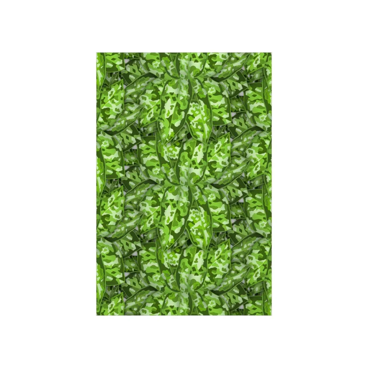 Aglaonema Pictum Botanical Print – Unframed Wall Art