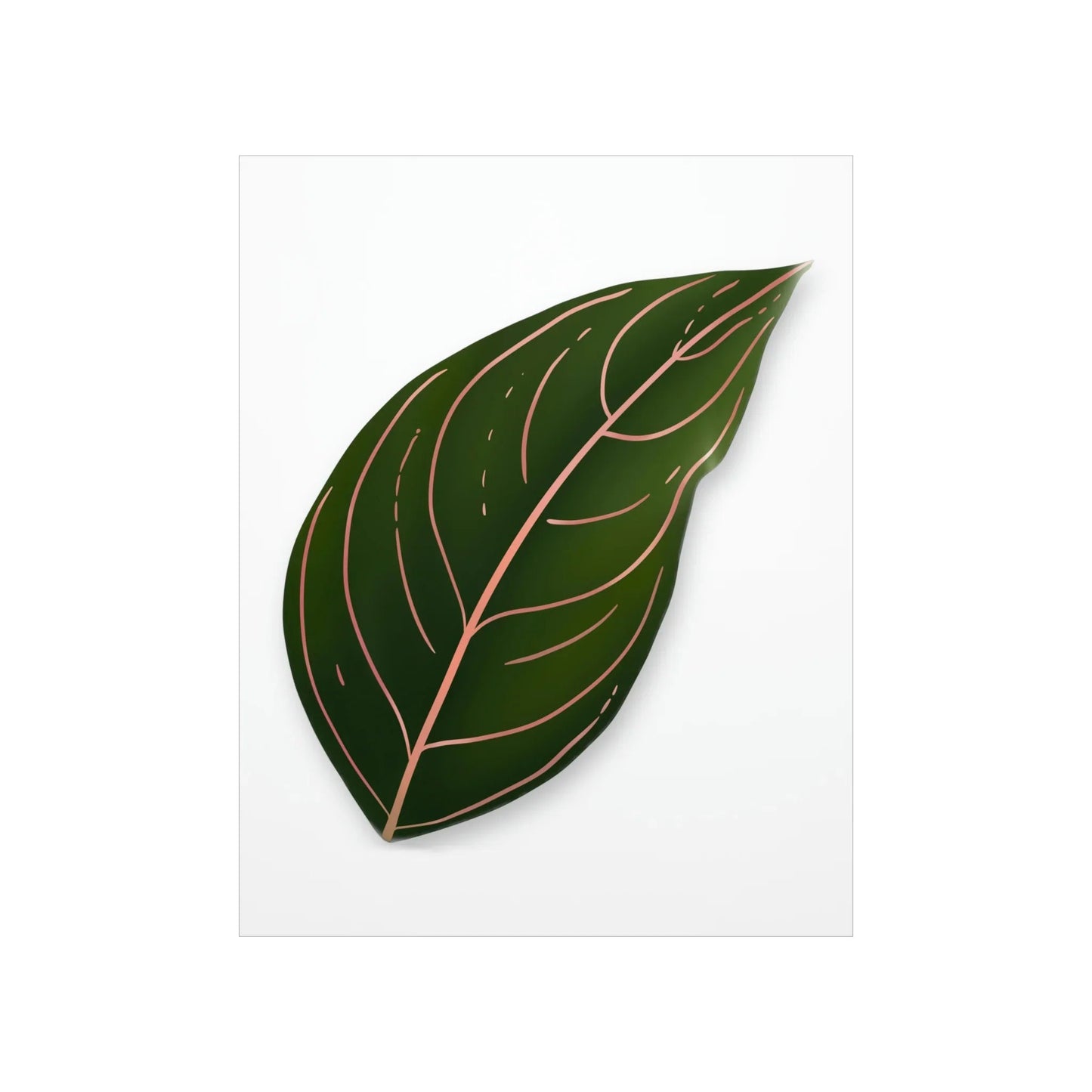 Aglaonema Rotundum Botanical Print – Unframed Wall Art