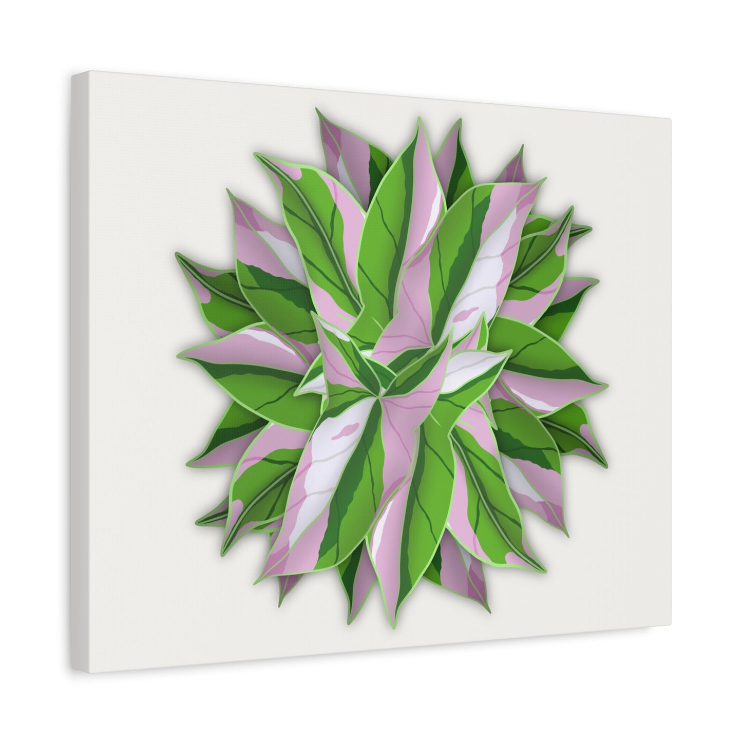 Syngonium Tricolor Pattern Canvas Print – Botanical Wall Art
