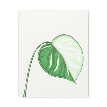 Monstera Albo Canvas Print – Botanical Wall Art