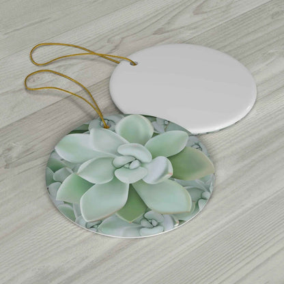 Pachyveria Haagei Succulent Ceramic Ornament – Blue Pastel Rosette