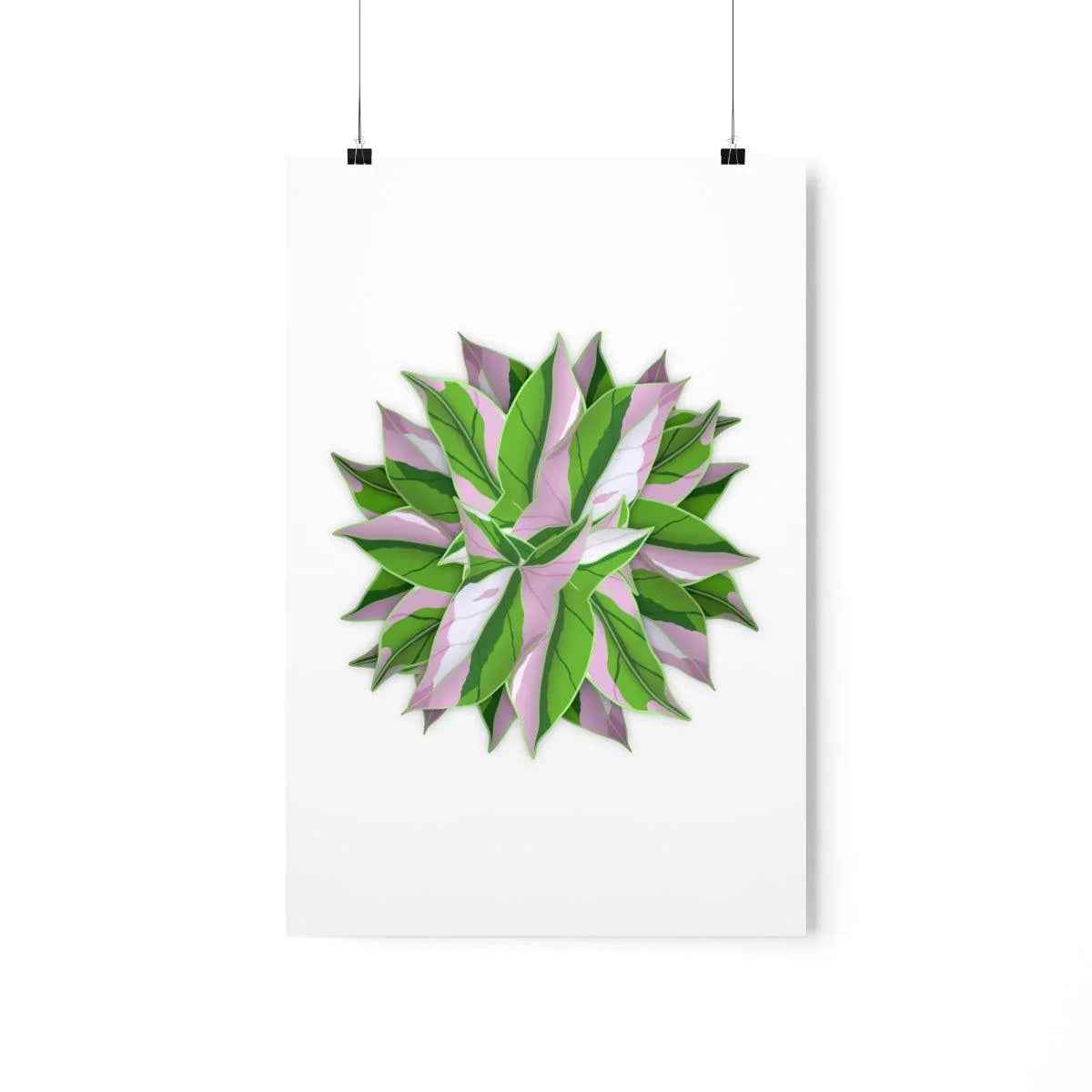 Syngonium Tricolor Pattern Botanical Print – Unframed Wall Art
