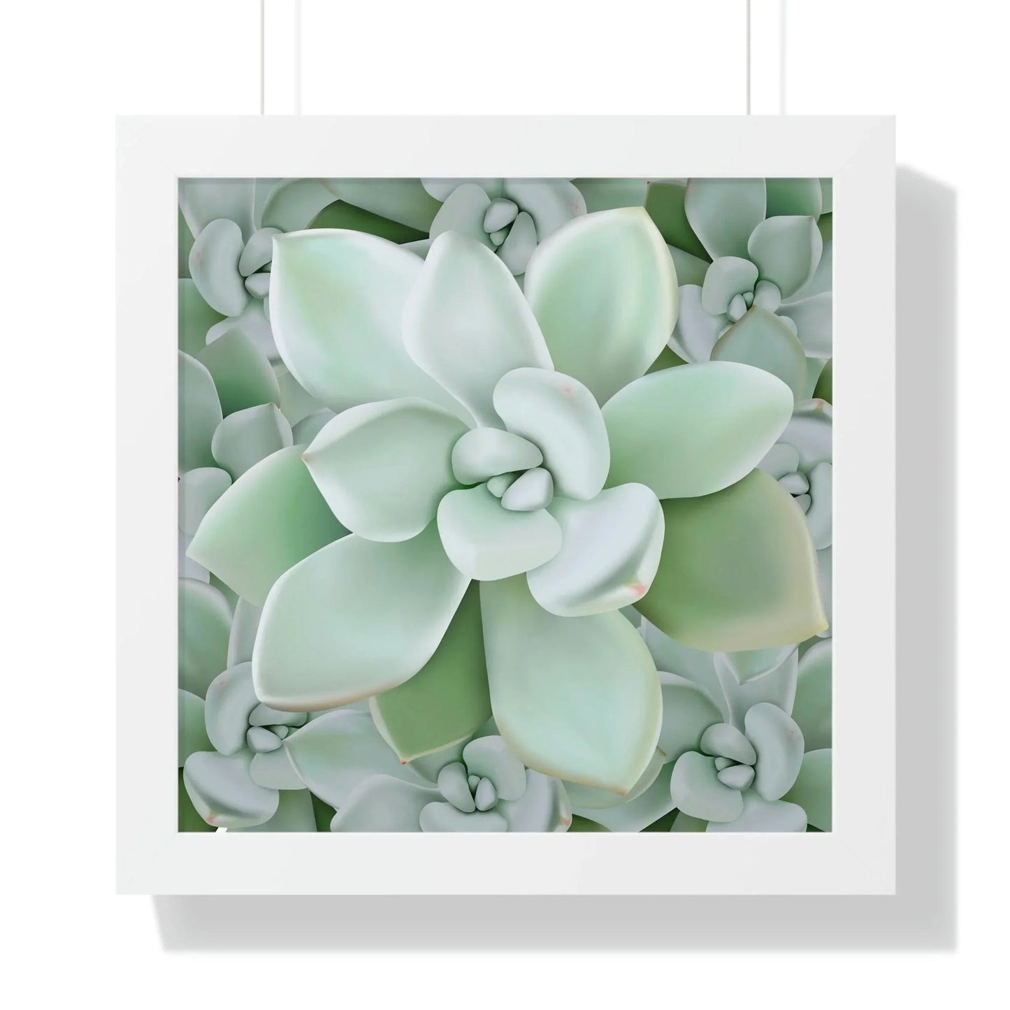 Pachyveria Haagei Succulent Pattern Framed Print – Botanical Wall Art