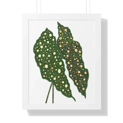 Begonia Maculata Framed Print – Botanical Wall Art