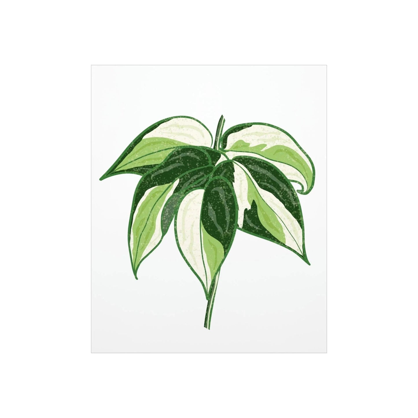 Philodendron Cream Splash Botanical Print – Unframed Wall Art