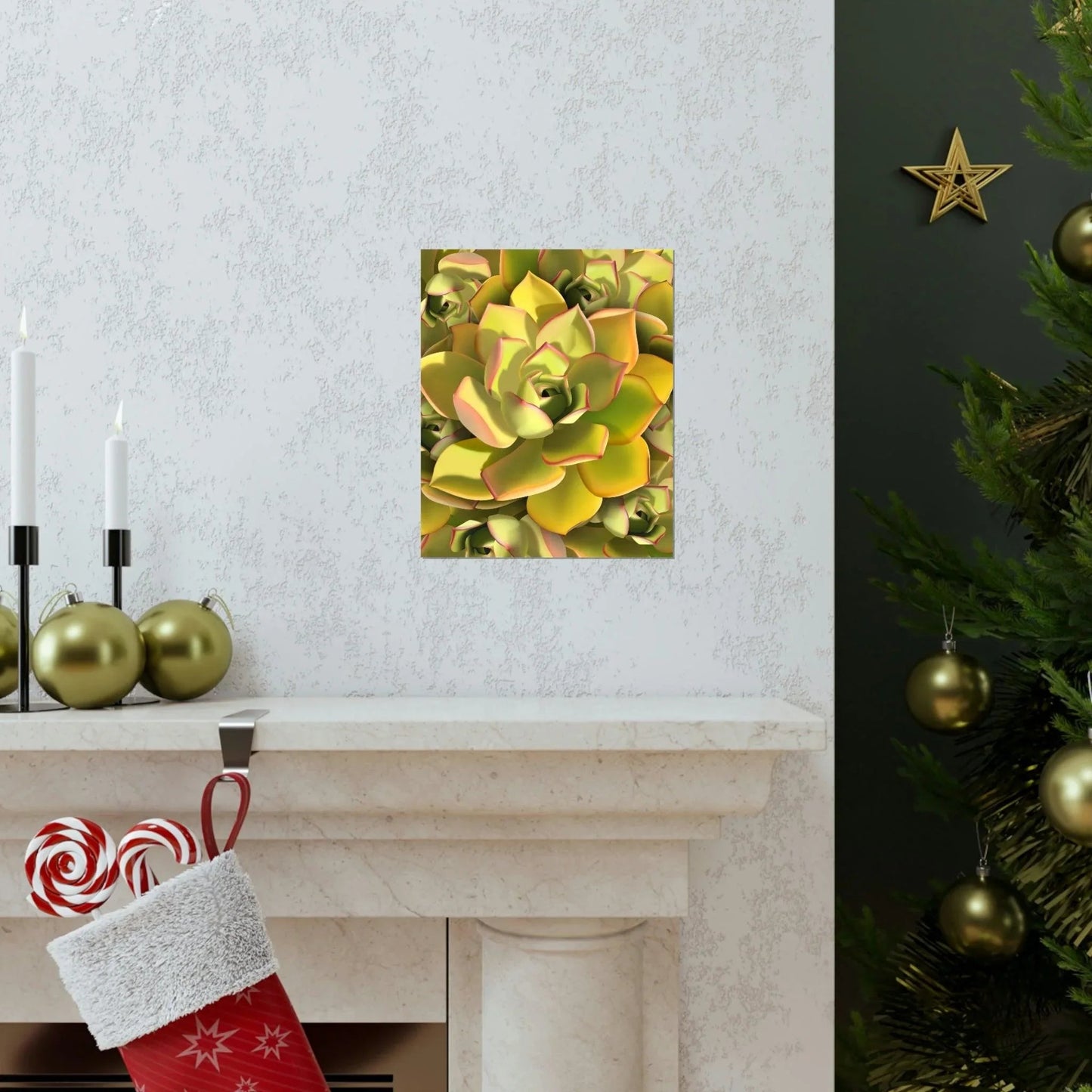 Noble Aeonium Succulent Pattern Botanical Print – Unframed Wall Art