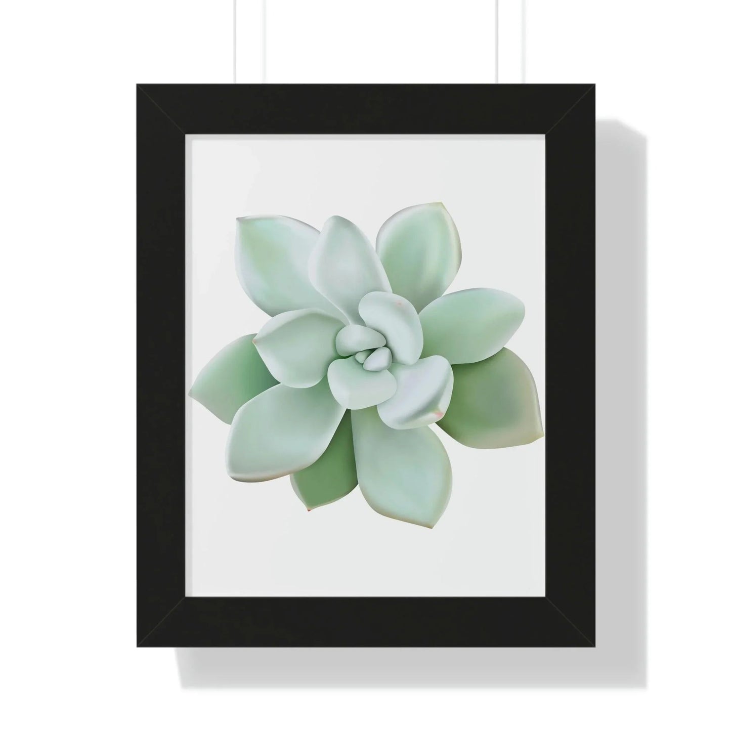 Pachyveria Haagei Succulent Framed Print – Botanical Wall Art