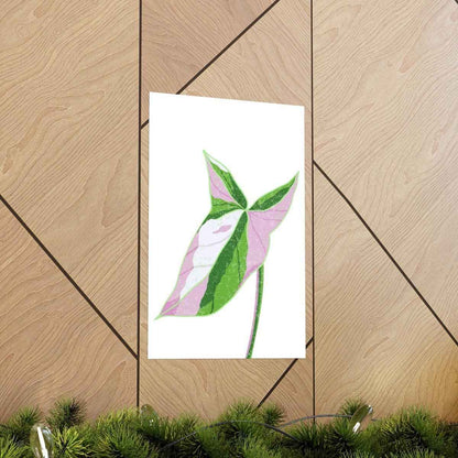 Syngonium Tricolor Botanical Print – Unframed Wall Art