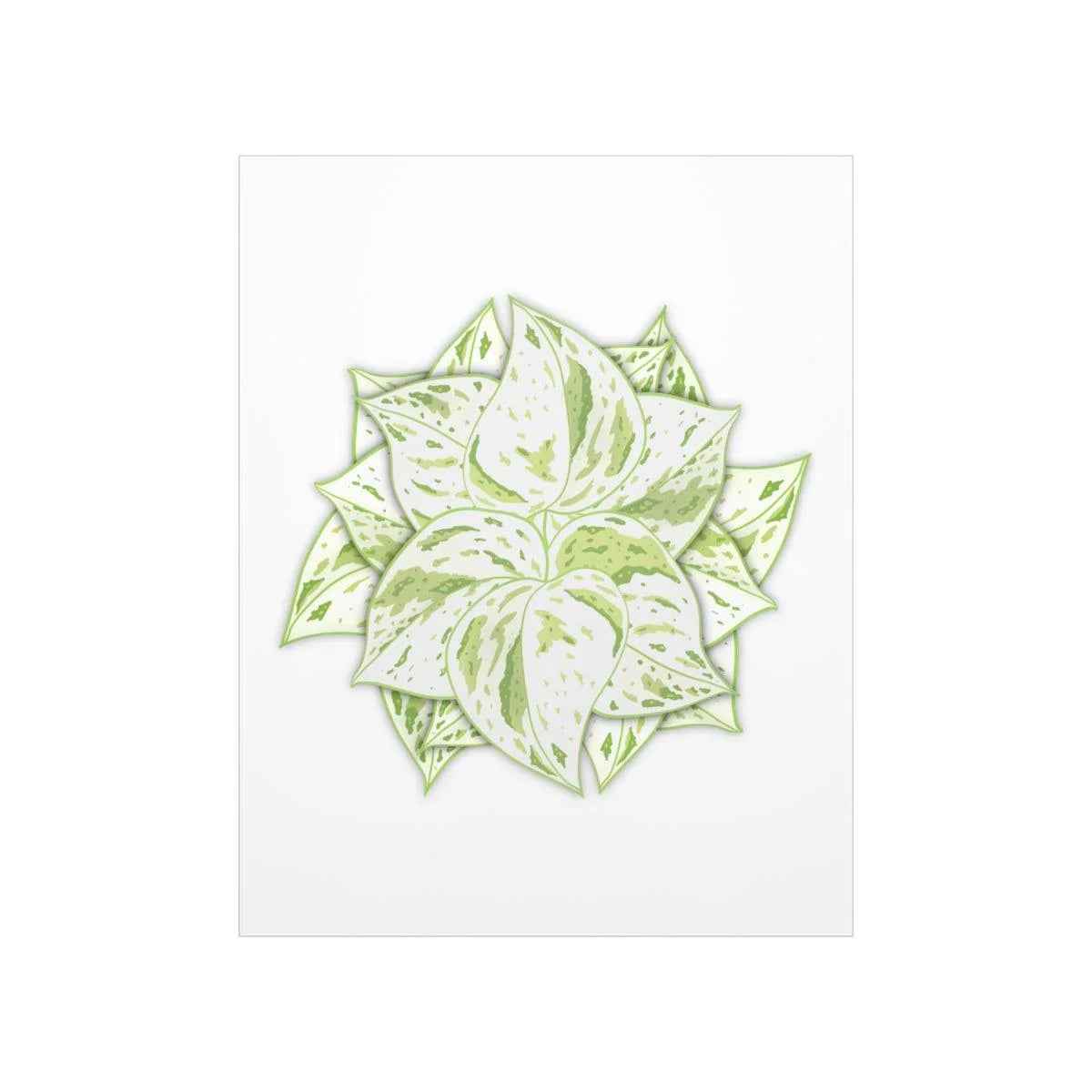 Snow Queen Pothos Botanical Print – Unframed Wall Art