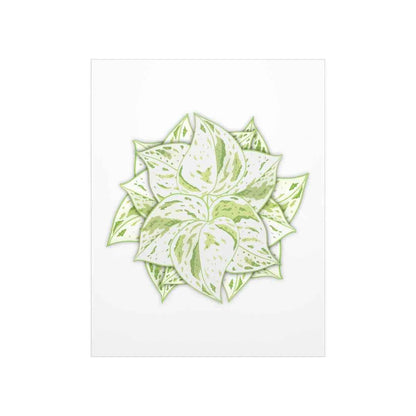 Snow Queen Pothos Botanical Print – Unframed Wall Art