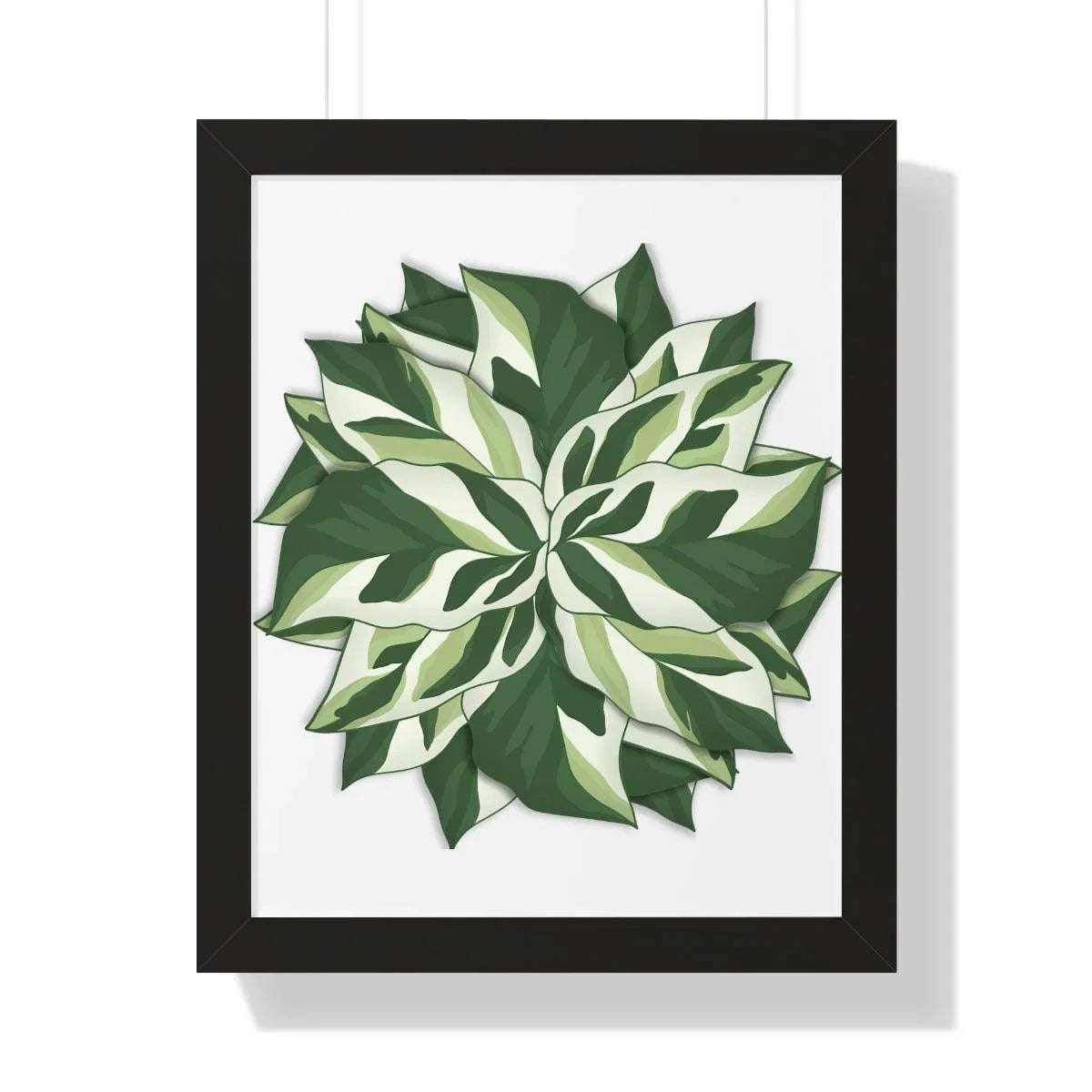 Calathea White Fusion Framed Print – Botanical Wall Art
