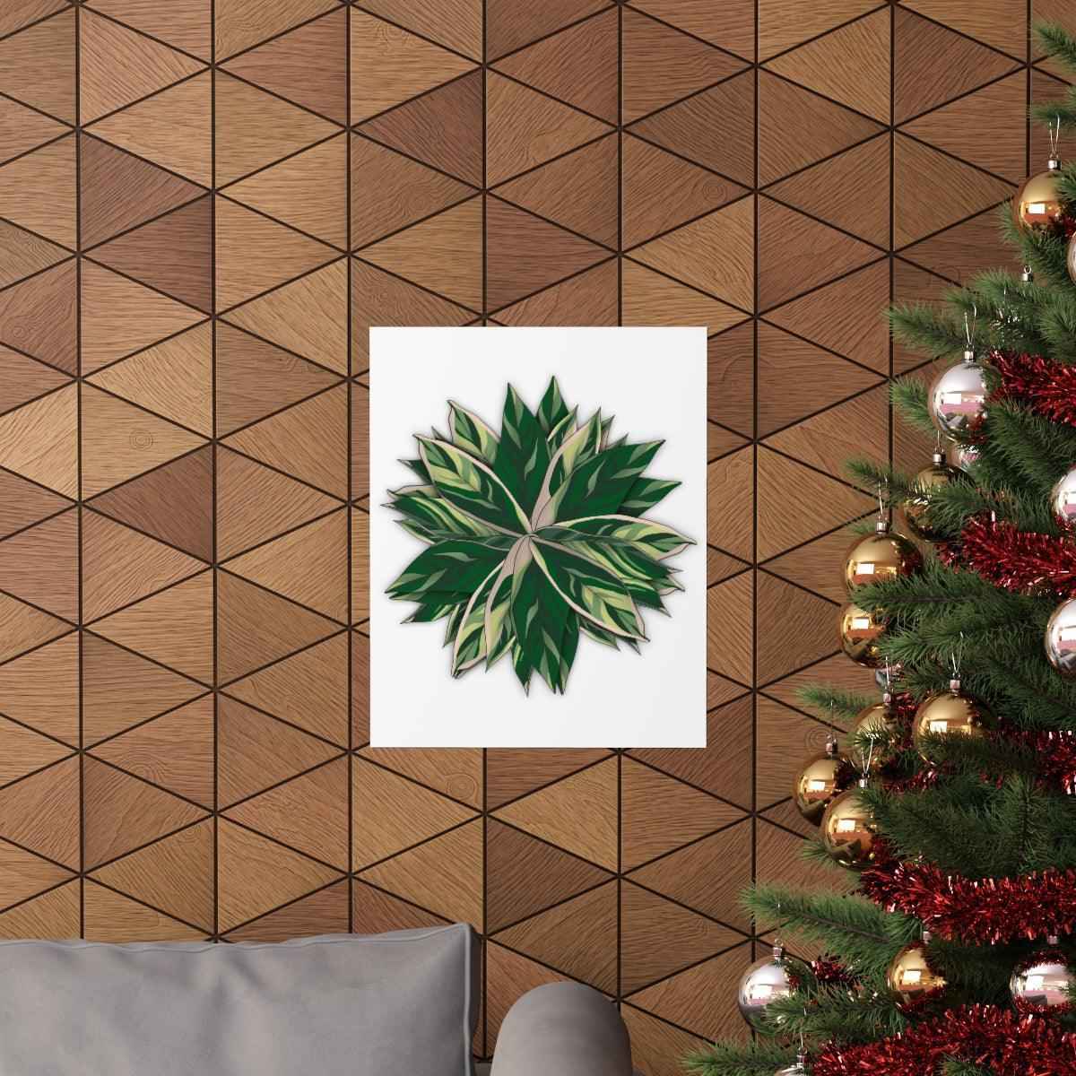 Stromanthe Triostar Botanical Print – Unframed Wall Art