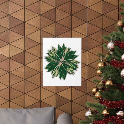 Stromanthe Triostar Botanical Print – Unframed Wall Art