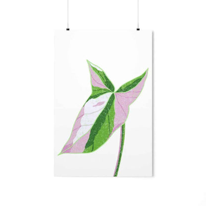 Syngonium Tricolor Botanical Print – Unframed Wall Art