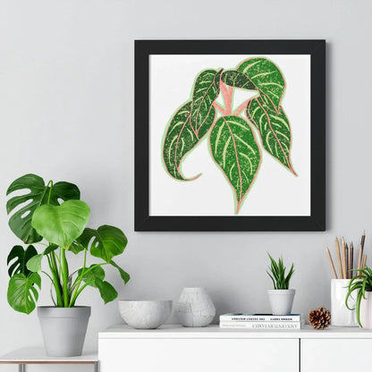 Aglaonema Sparkling Sarah Framed Print – Botanical Wall Art