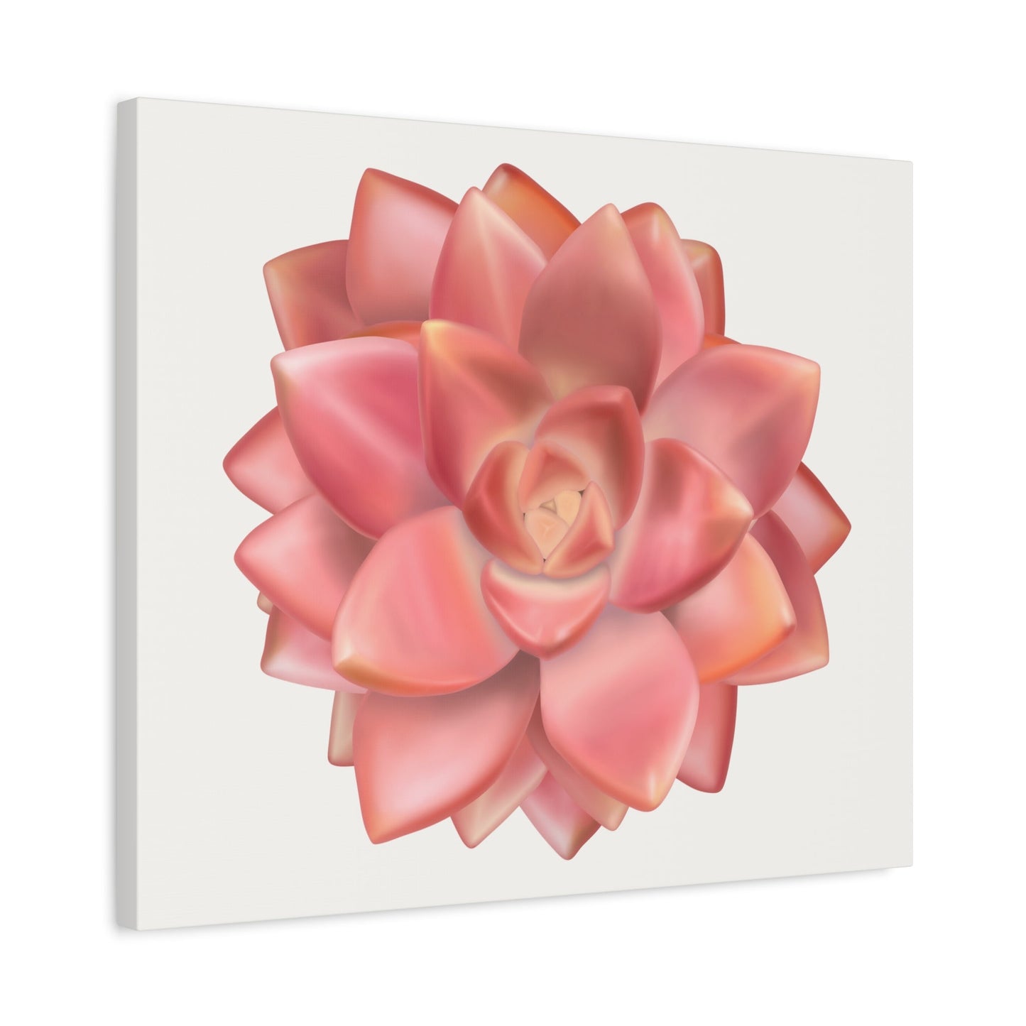Graptosedum California Sunset Succulent Canvas Print – Botanical Wall Art