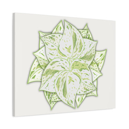 Snow Queen Pothos Canvas Print – Botanical Wall Art