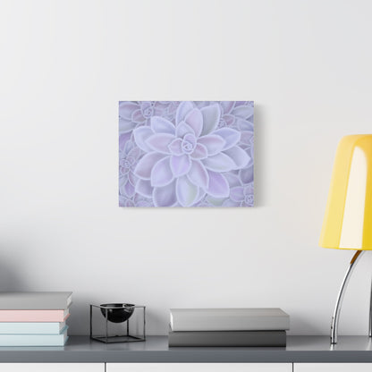 Graptopetalum Murasaki Succulent Pattern Canvas Print – Botanical Wall Art