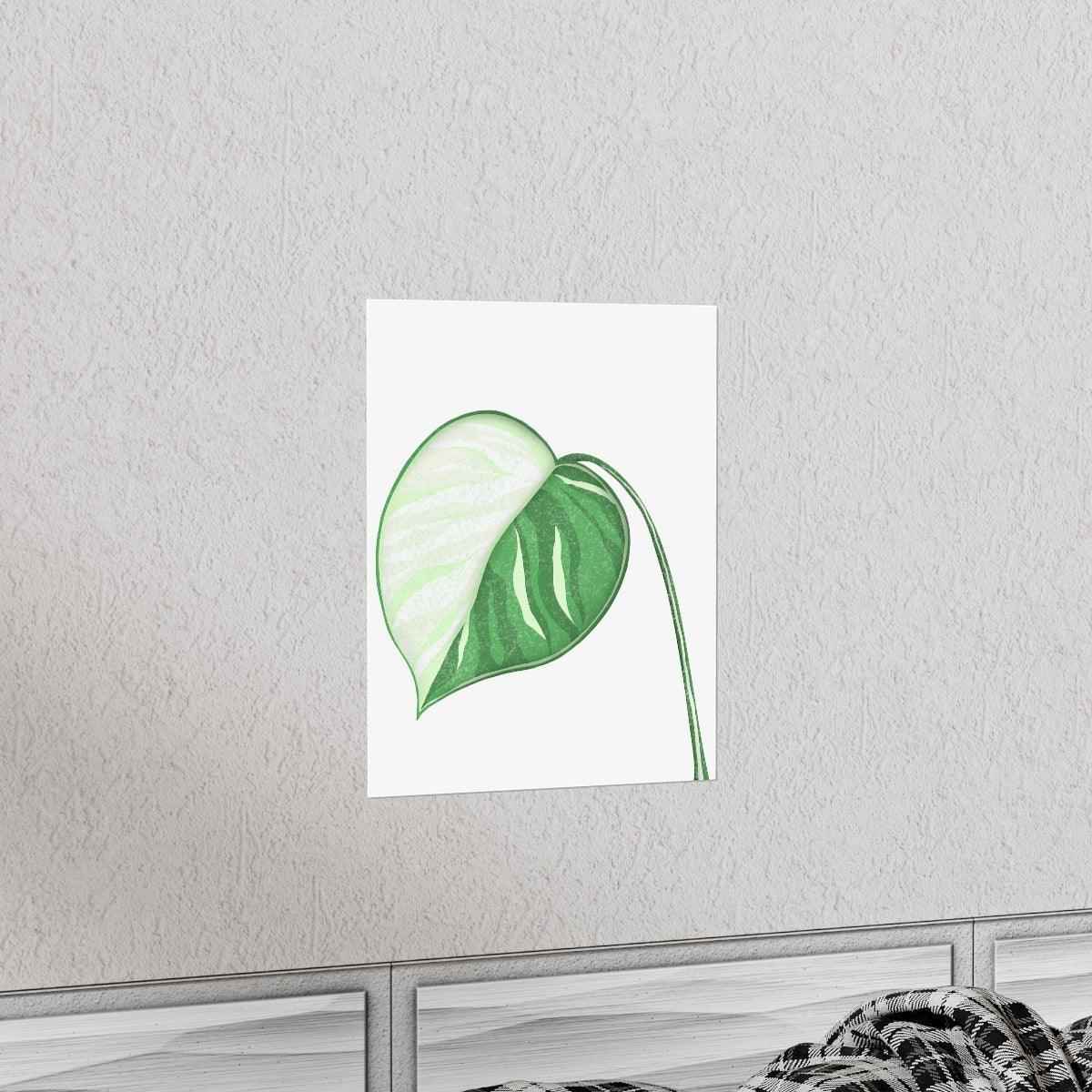 Monstera Albo Botanical Print – Unframed Wall Art