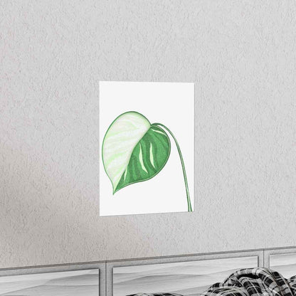 Monstera Albo Botanical Print – Unframed Wall Art