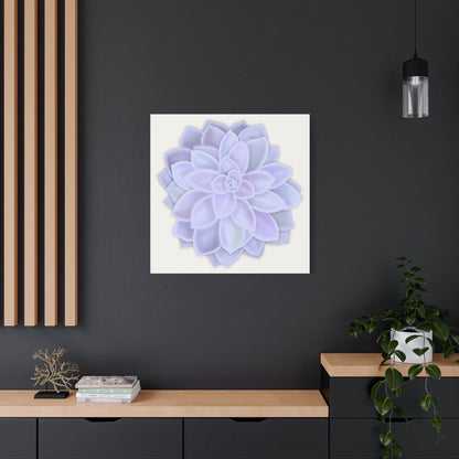 Graptopetalum Murasaki Succulent Canvas Print – Botanical Wall Art