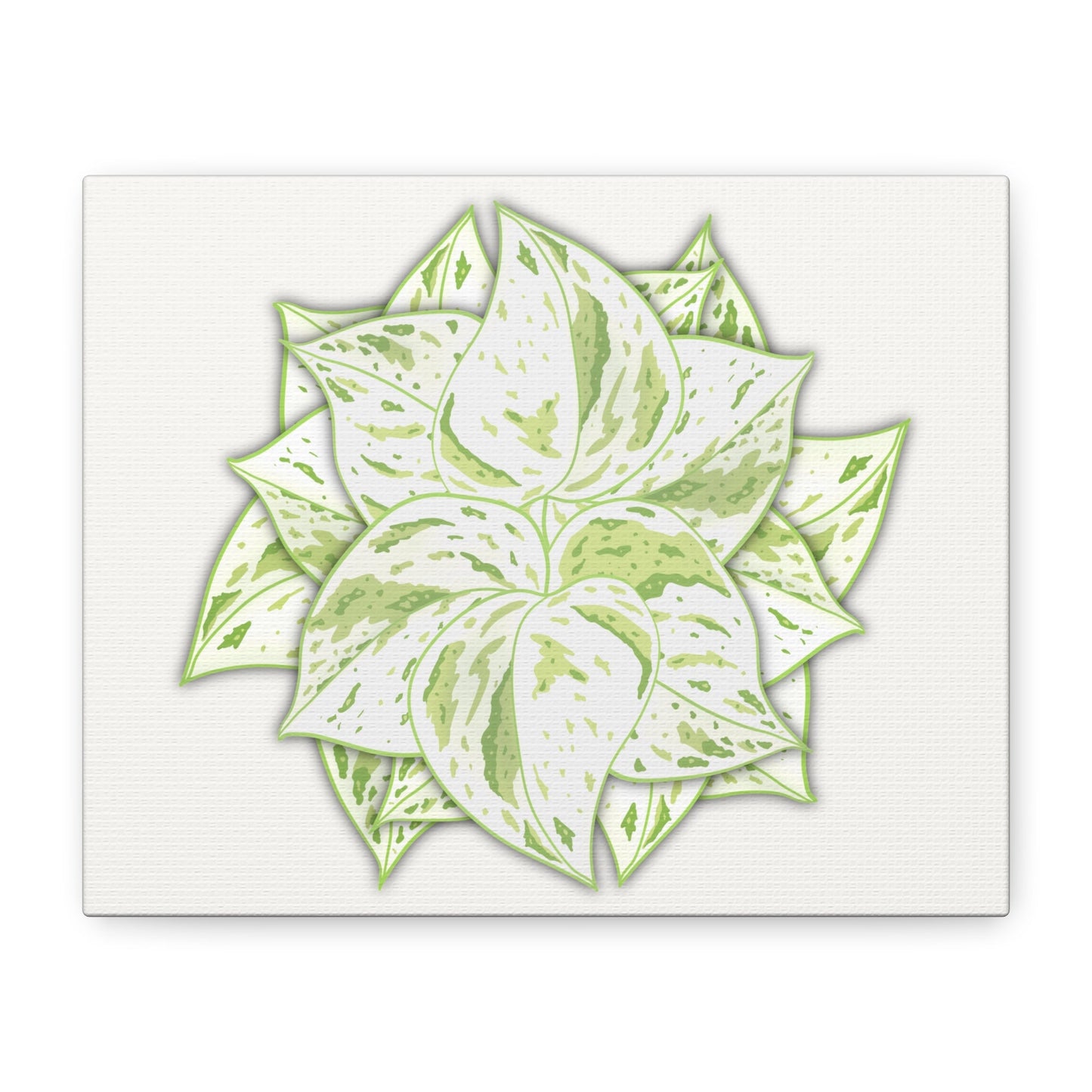 Snow Queen Pothos Canvas Print – Botanical Wall Art