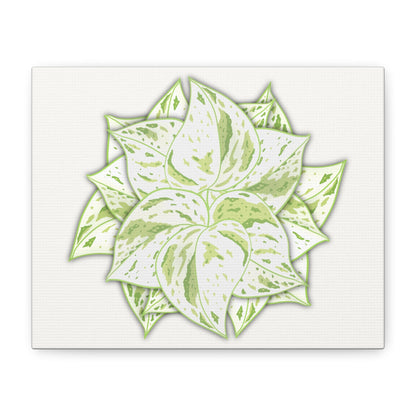 Snow Queen Pothos Canvas Print – Botanical Wall Art