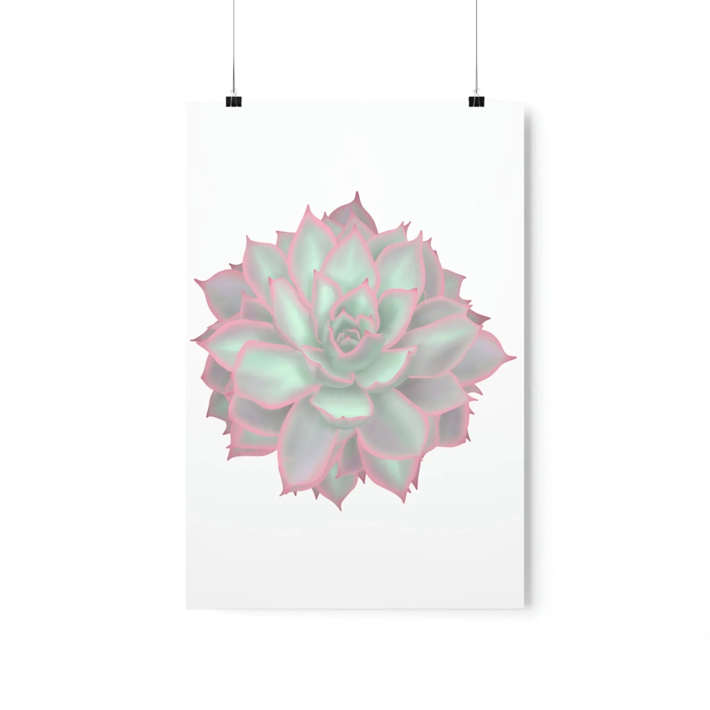 Echeveria Violet Queen Succulent Botanical Print – Unframed Wall Art