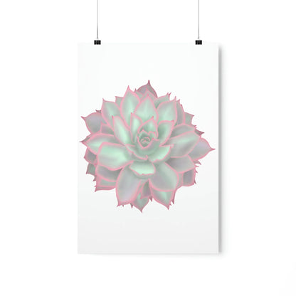 Echeveria Violet Queen Succulent Botanical Print – Unframed Wall Art