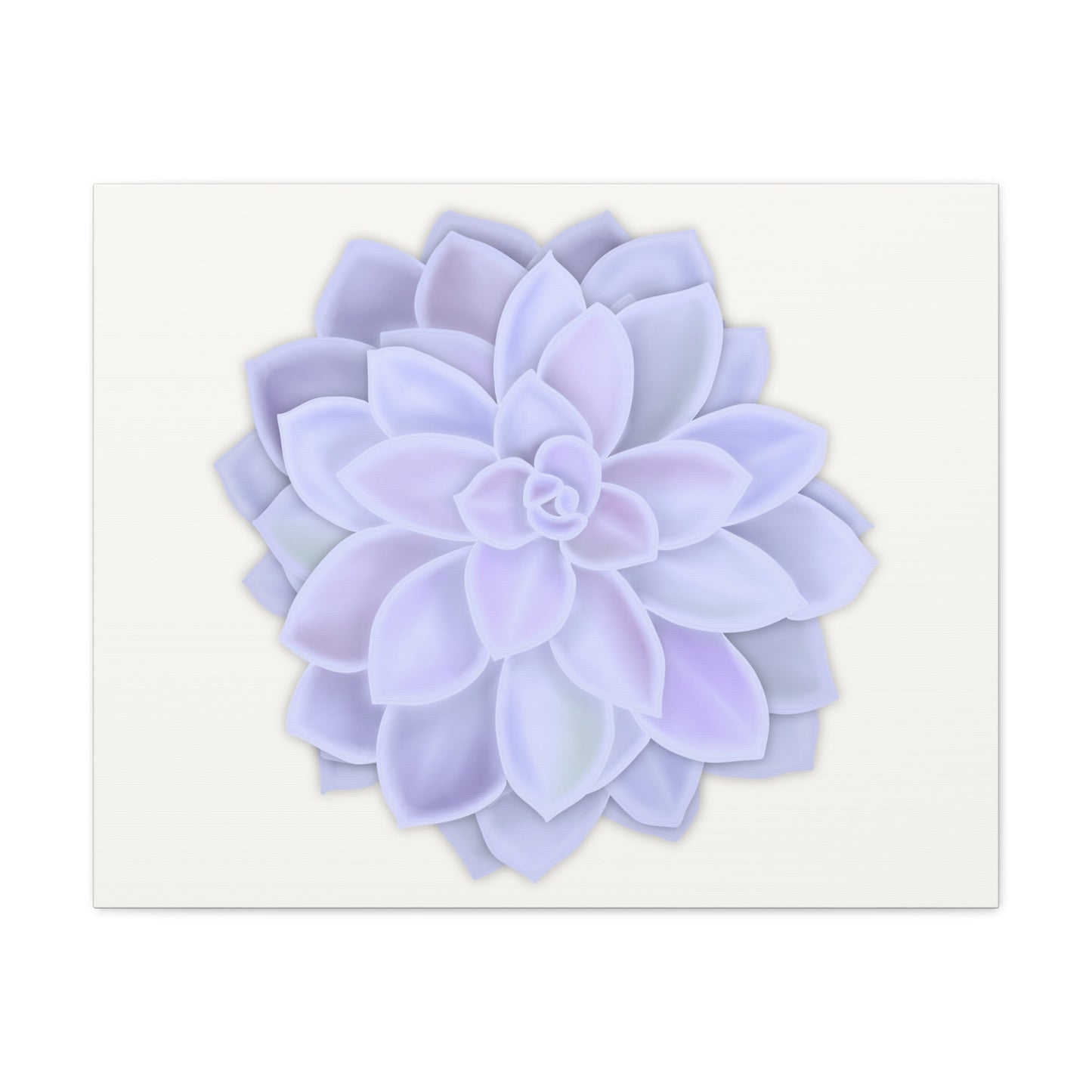 Graptopetalum Murasaki Succulent Canvas Print – Botanical Wall Art