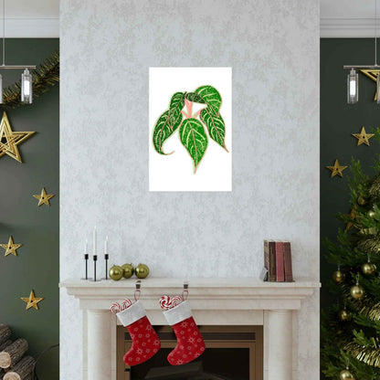 Aglaonema Sparkling Sarah Botanical Print – Unframed Wall Art