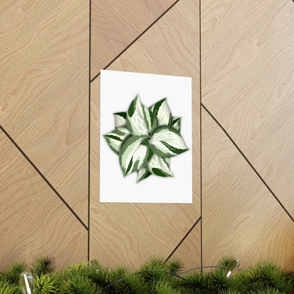 Manjula Pothos Botanical Print – Unframed Wall Art