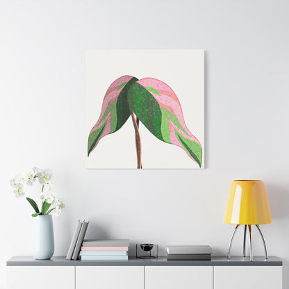 Pink Princess Philodendron Canvas Print – Botanical Wall Art