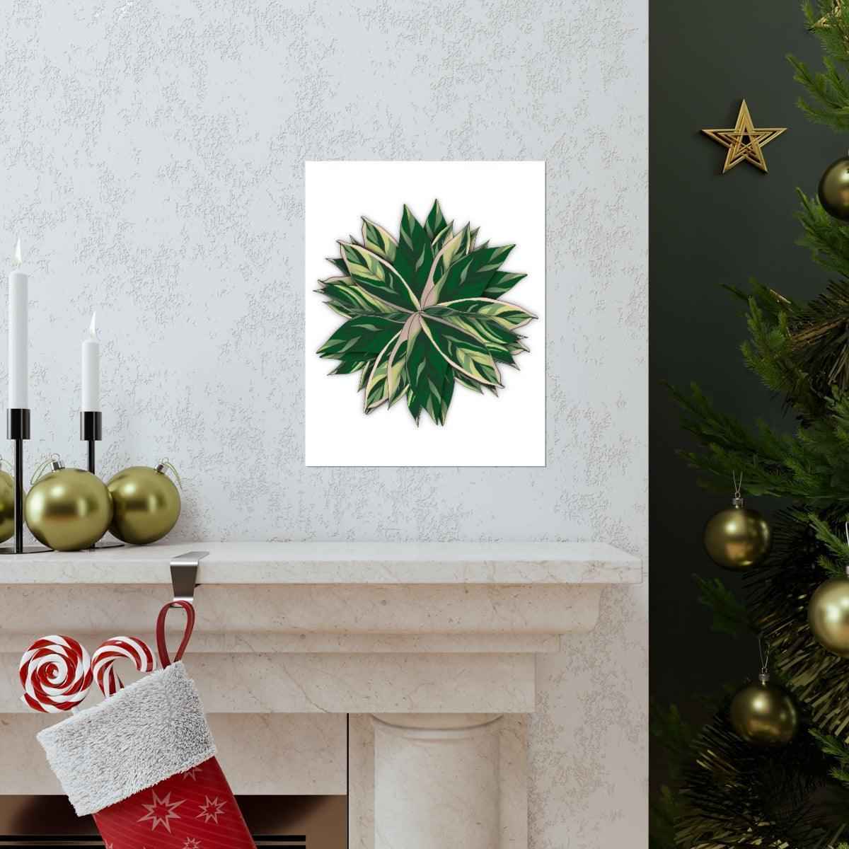 Stromanthe Triostar Botanical Print – Unframed Wall Art