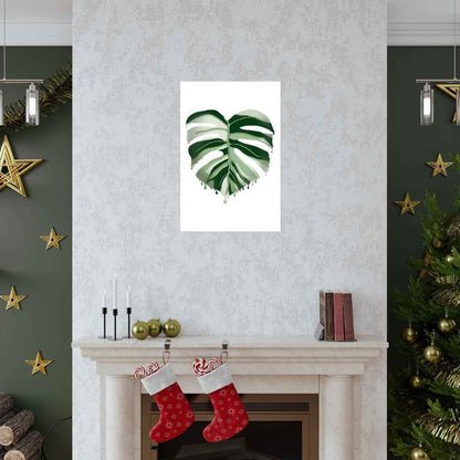 Melting Monstera Albo Botanical Print – Unframed Wall Art