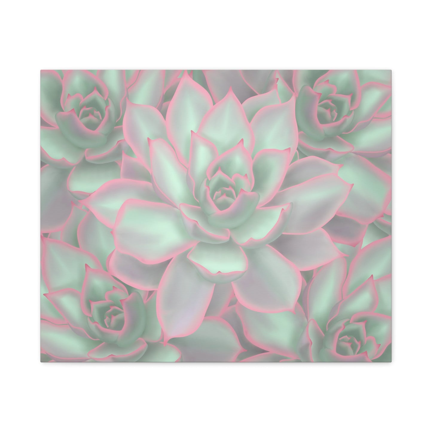 Echeveria Violet Queen Succulent Pattern Canvas Print – Botanical Wall Art
