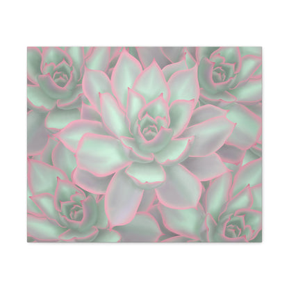 Echeveria Violet Queen Succulent Pattern Canvas Print – Botanical Wall Art