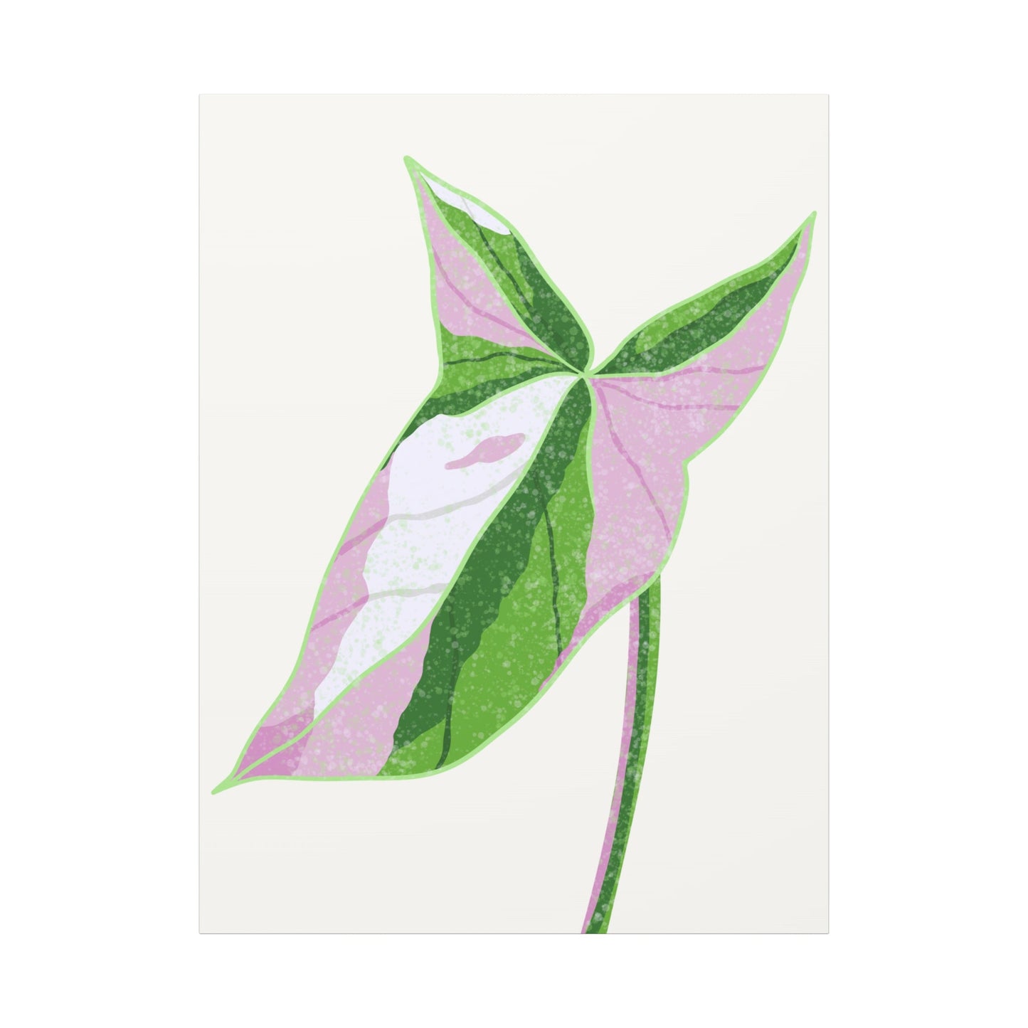 Syngonium Tricolor Canvas Print – Botanical Wall Art