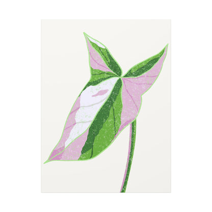 Syngonium Tricolor Canvas Print – Botanical Wall Art