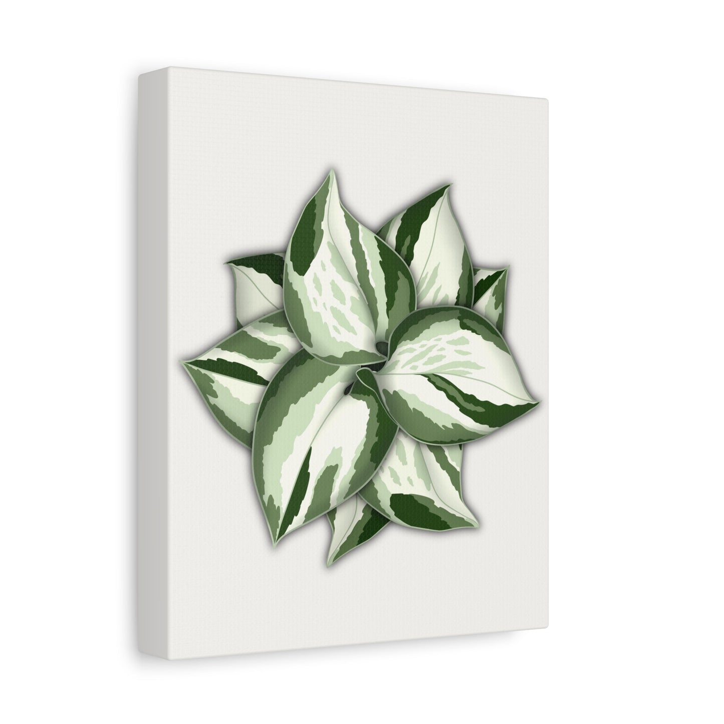 Manjula Pothos Canvas Print – Botanical Wall Art