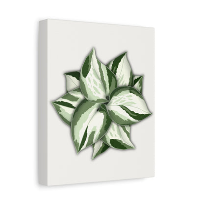 Manjula Pothos Canvas Print – Botanical Wall Art
