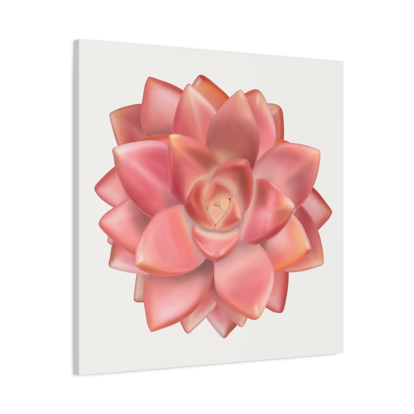 Graptosedum California Sunset Succulent Canvas Print – Botanical Wall Art